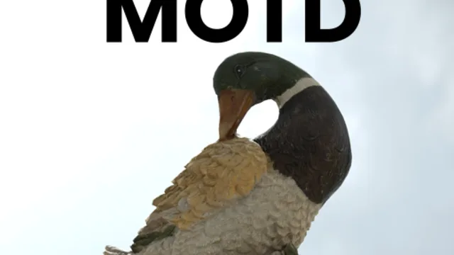 ducc MOTD