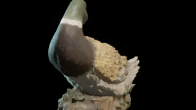 Duck Decoration