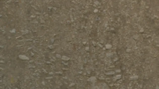 Forest Ground Soil