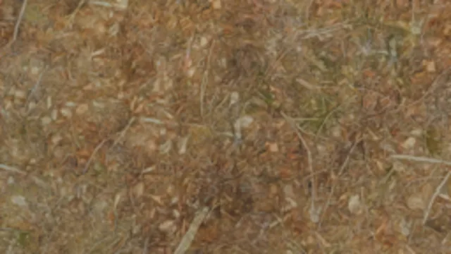 Forest Ground Leaves & Sticks
