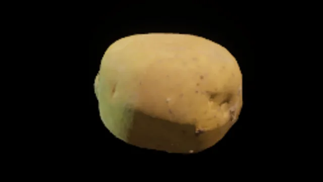 Potato 1
