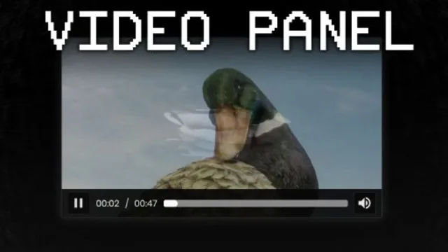 Video Panel