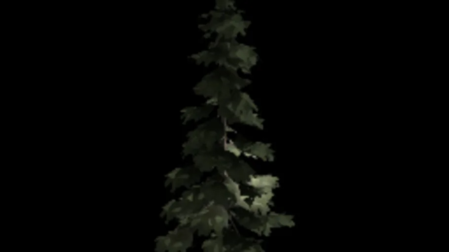 ah_super_large_pine002