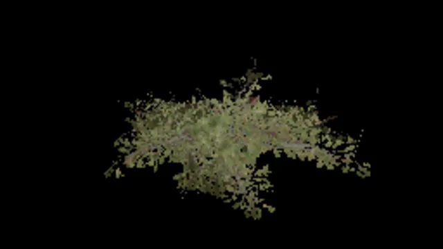 Beech Bush Large