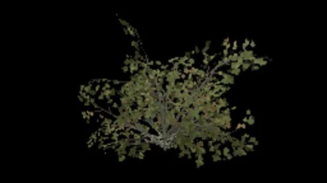 Beech Bush Medium Wall Corner