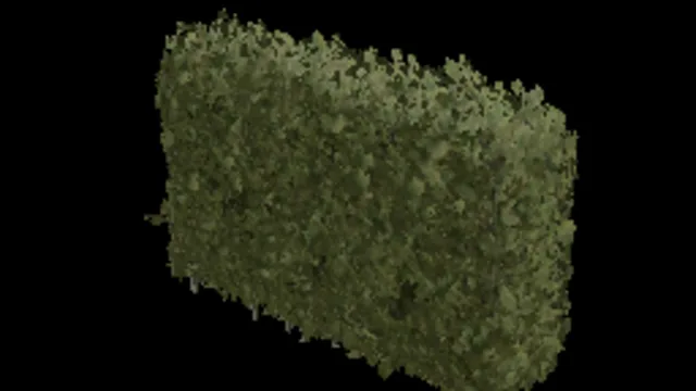 Beech Hedge 96x128