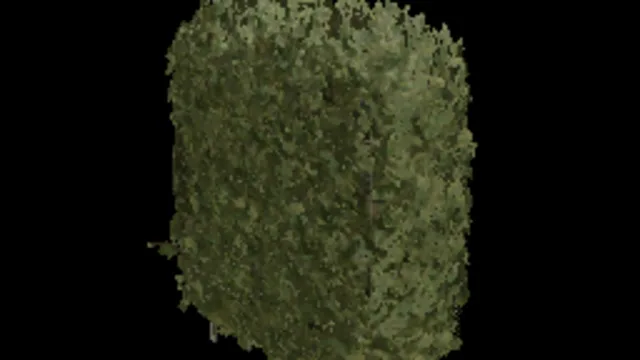 Beech Hedge 96x64