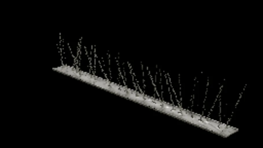 Bird Spikes