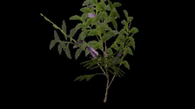 Budleja Weed