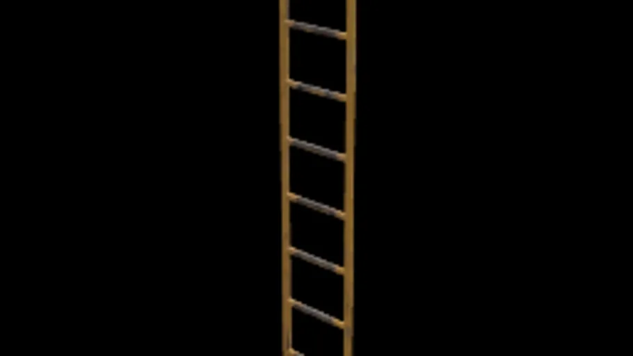 Catwalk Ladder a