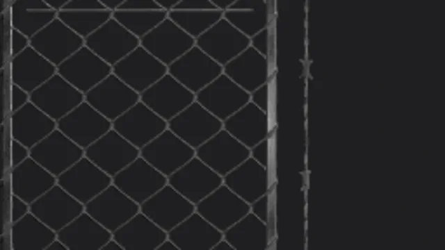 Chainlink Wire Painted Black