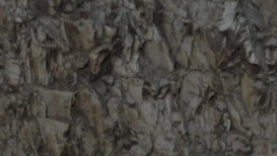 Cliff Rock b