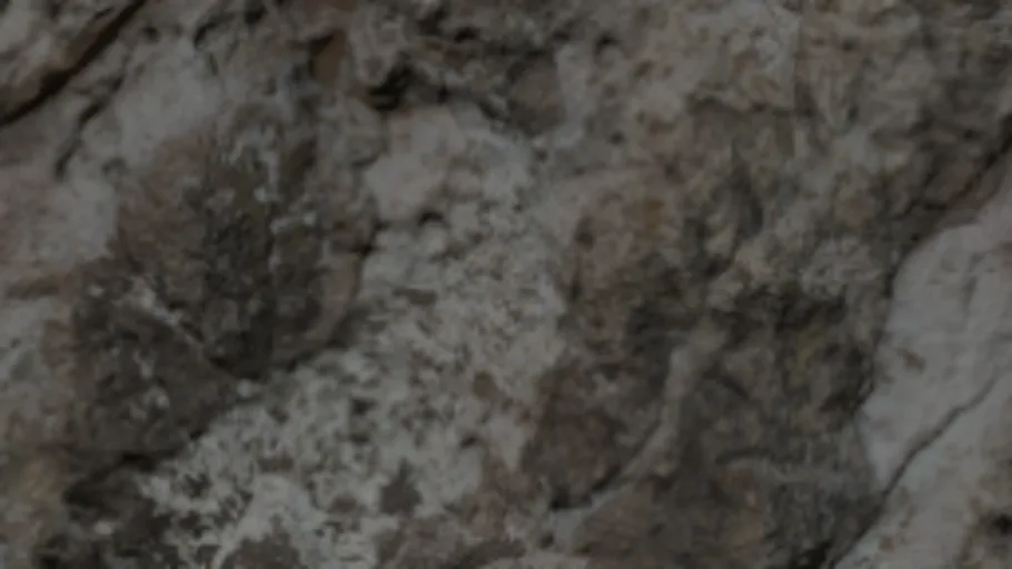 Cliff Rock c