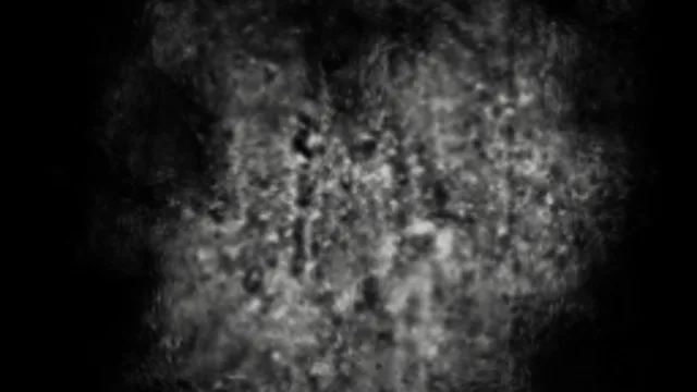 Decal Dirt b