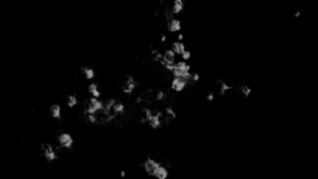 Bird Droppings Ground 3