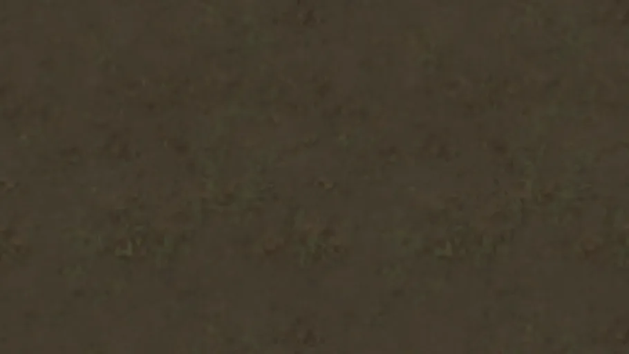 Floor Dirt a