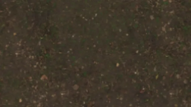 Floor Dirt d