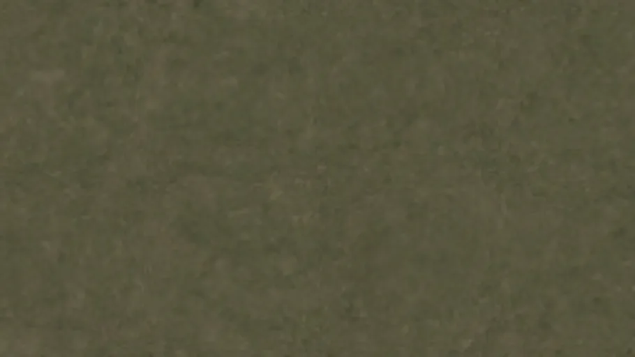 Floor Grass a
