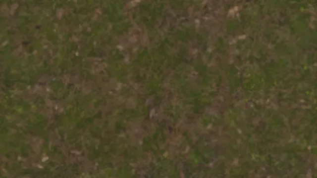 Floor Grass b