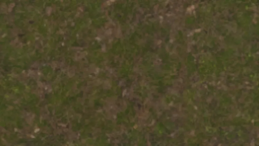 Floor Grass b