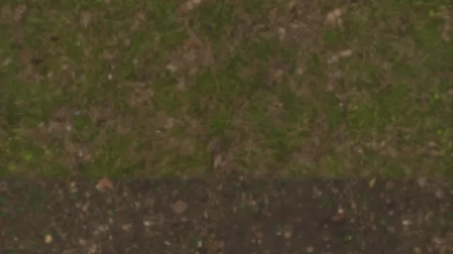 Floor Grass b Dirt Blend