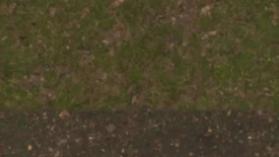Floor Grass b Dirt Blend