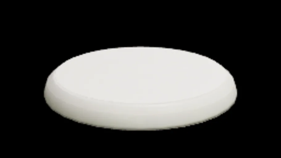 Frisbee