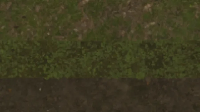 Grass Blend Dirt Weeds