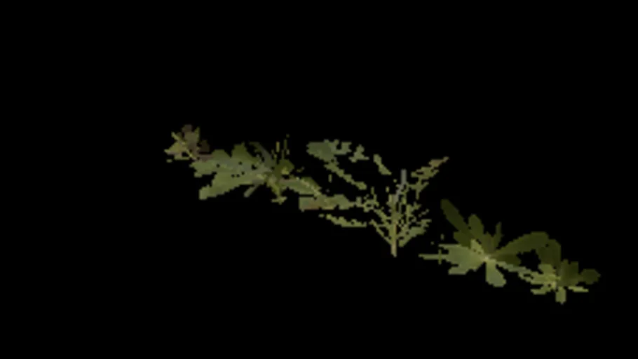 Grass Weeds 01
