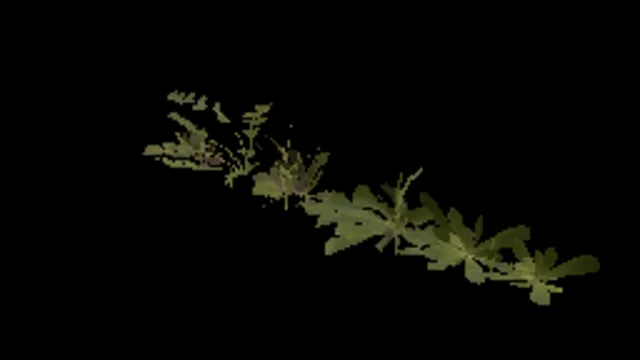 Grass Weeds 02