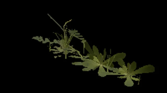 Grass Weeds 03