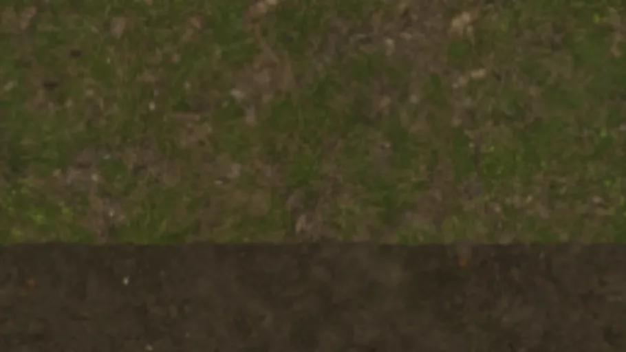 Grass Blend Dirt