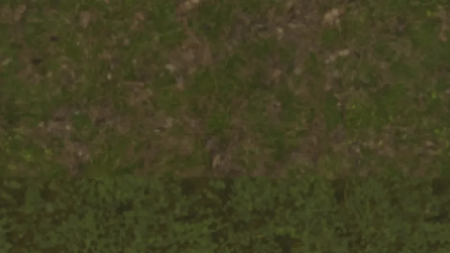 Grass Blend Weeds