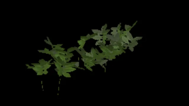 Ground Weed