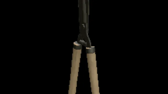 Hedge Shears