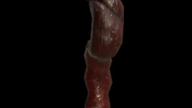 Intestine Gib