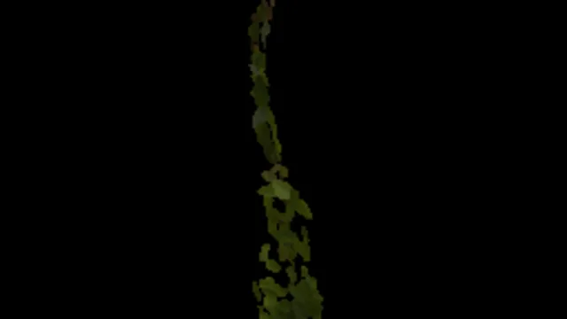 Ivy Fresh 010a