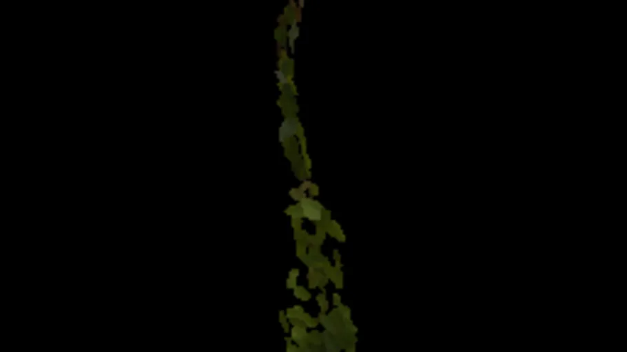 Ivy Fresh 010a