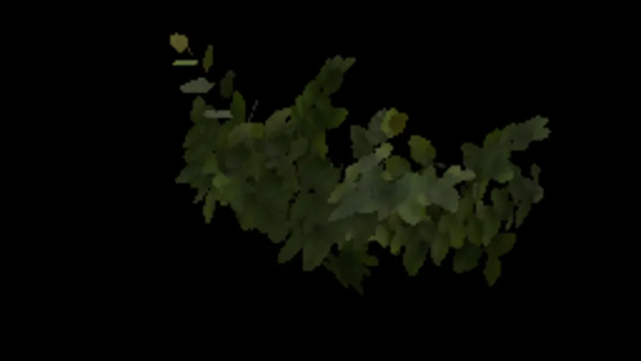 Ivy Fresh 011a