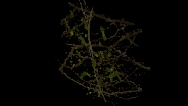 Ivy Fresh 01a