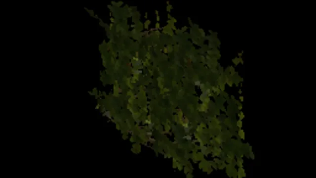 Ivy Fresh 02a