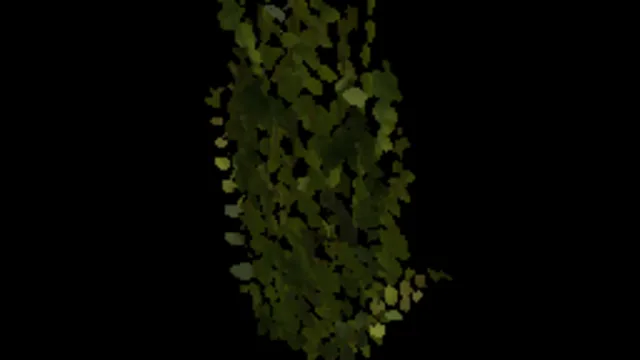 Ivy Fresh 03a