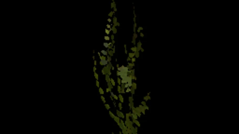 Ivy Fresh 05a