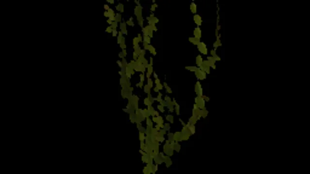 Ivy Fresh 06a