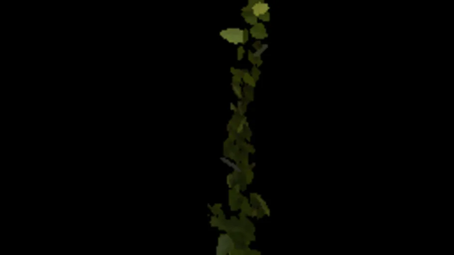 Ivy Fresh 08a