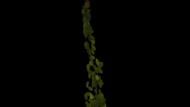 Ivy Fresh 09a Low