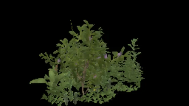 Large Weed Clump