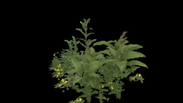 Large Weed Clump 2