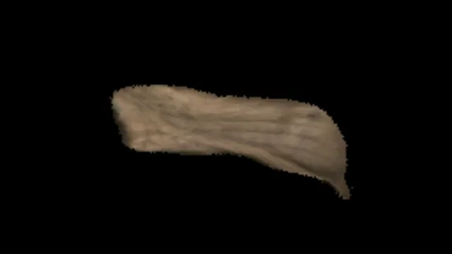 Single Leaf 4