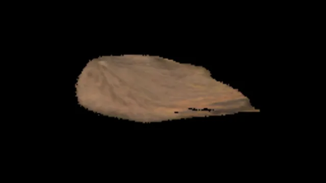 Single Leaf 5